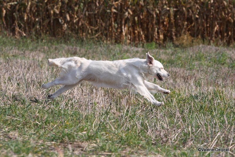 Field Erstein 09 (16).JPG